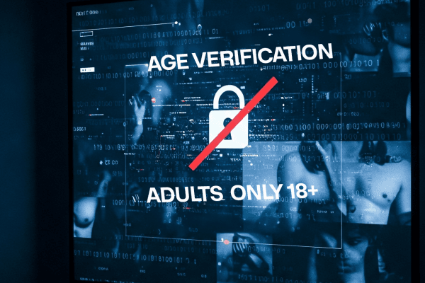 2025 Adult Age Verification Laws: Current Landscape & Industry Impact 